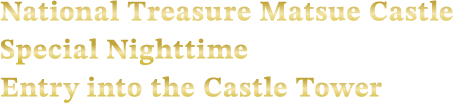 National Treasure Matsue Castle Special Nighttime Entry into the Castle Tower